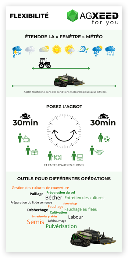 Agxeed and intoappsnwebs | working on infographic FLEXIBILITY and more